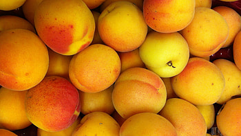 Apricot best , Baltana HD wallpaper