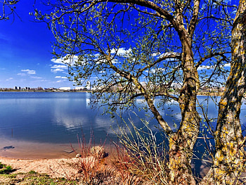 lake, sky, city, tree HD wallpaper