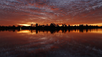Nature, Water, Trees, Sunset, Reflection HD wallpaper