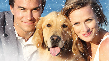 Shantel VanSanten, Best movies, TV shows HD wallpaper