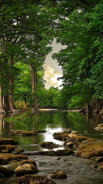 Unique, Nature HD phone wallpaper