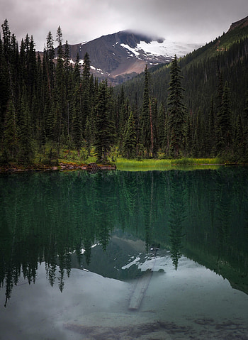 Nature, Mountain, Lake, Reflection, Forest, Fir, Spruce HD phone wallpaper