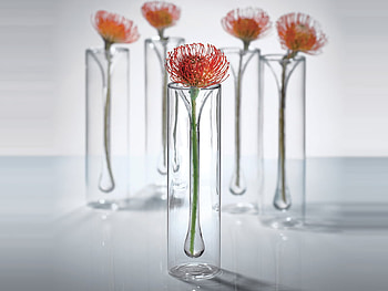 flowers, still life, vase, nature HD wallpaper