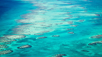 Scuba diving adventure, Underwater wonders, Colorful marine life, Dive into Belize HD wallpaper