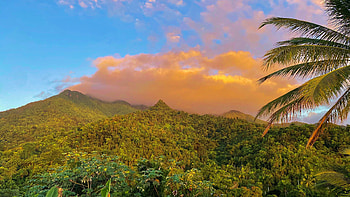 El Yunque National Rainforest at sunrise, Puerto Rico, hills, trees, landscape, clouds, sky, mountains, sunrise, palm trees HD wallpaper
