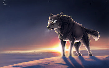 Wolf, Fantasy, Fantasy Animals HD wallpaper