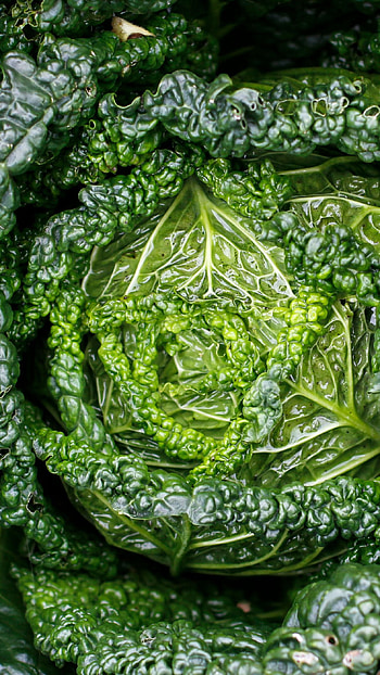 Green Vegetable, vegetable, green, nature HD phone wallpaper