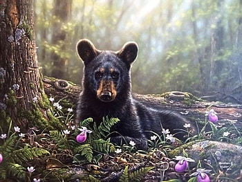 Bear, animal, art, abraham hunter, urs, summer, painting, pictura, flower, vara HD wallpaper