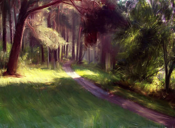 Sunlit Forest, trees, pathway, sunlight, forest HD wallpaper