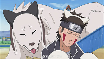 Kiba Inuzuka, Naruto anime, 150 HD wallpaper
