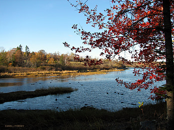 Anticipation of Winter, daniel j towsey, towsey, danieltowsey, fall colors HD wallpaper