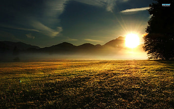 Sunrise Over The Meadow, clouds, grass, sky, sunrise HD wallpaper