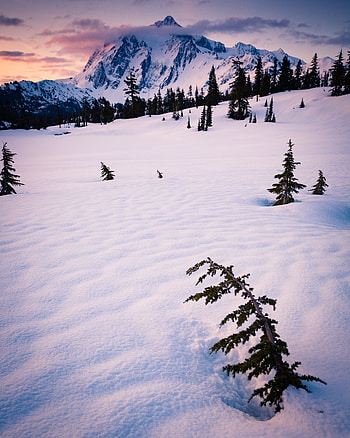 Winter, Nature, Trees, Clouds, Snow, Mountain HD phone wallpaper