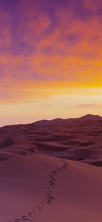 Sahara desert sand dunes , Sands underfoot, Adventure awaits, 's desert escape HD phone wallpaper