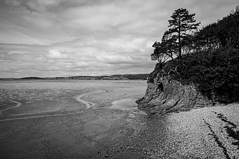 Nature, Pebble, Coast, Wood, Tree, Bw, Chb HD wallpaper