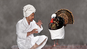 Matthew McConaughey, white, bath, turkey, situation, man, actor, funny HD wallpaper