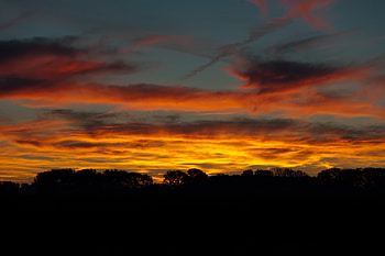 Nature, Trees, Sunset, Sky HD wallpaper