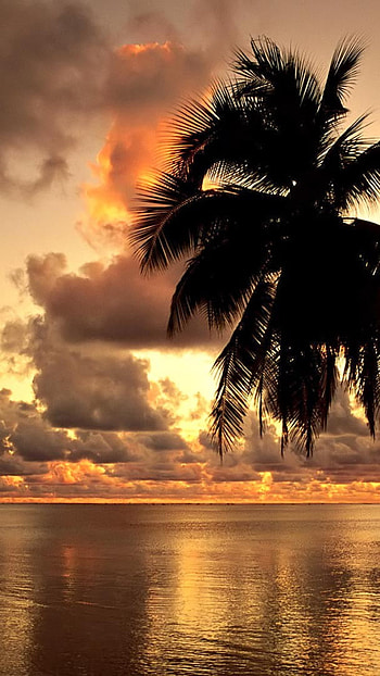 Hawaiian beach bliss, Stunning landscapes, Tranquil seas, Nature's splendor HD phone wallpaper