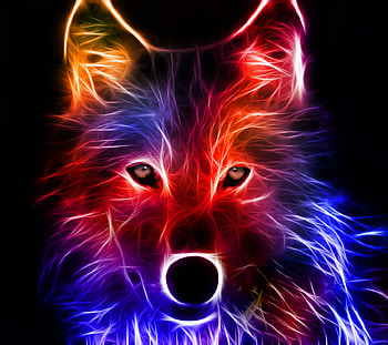 Animal, Wolf, Fractal, Colorful, Wolves HD wallpaper