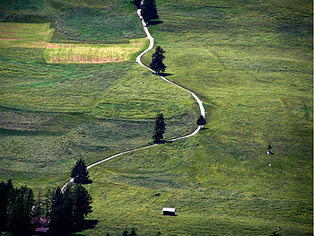 The white path, white, field, path HD wallpaper