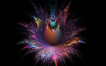 Abstract, Patterns, Flower, Shine, Light, Multicolored, Motley HD wallpaper