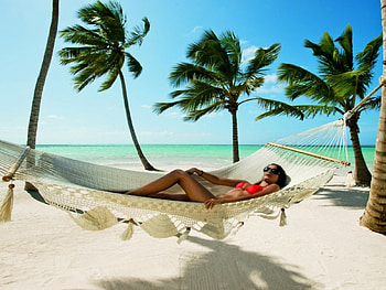 brunette beach, sea, palm, brunette, beach HD wallpaper