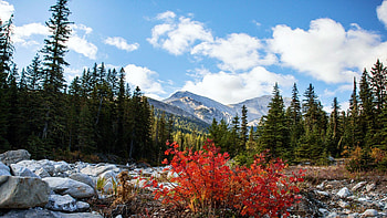 Looking off towards Rocky Mountains, Montana, leaves, fall, colors, landscape, trees, sky, usa, stones, clouds HD wallpaper