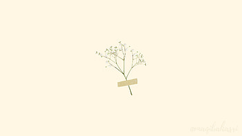 minimalist background. Minimalist , Computer , Aesthetic , Aesthetic Minimal Laptop HD wallpaper