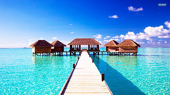 Summer Screensavers Android HD wallpaper