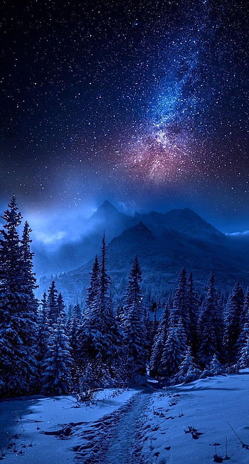 Forest Mountain Landscape Covered With Snow Star Filled Sky Galaxy In 2020. Night Sky , Night Sky graphy, Background Nature, Winter Night Sky HD phone wallpaper