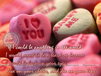 Happy Valentine Day, valentine, you, heart, love HD wallpaper