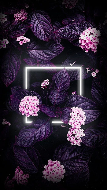 Colorful, leaves, neon HD phone wallpaper