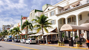 Miami Beach, Florida, sunny and warm, palm trees, 1600x900 HD wallpaper