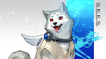 Koromaru - Persona 3 Reload | SEES Loyal Companion | Koromaru, Persona 3 Reload, Koromaru (Persona) HD wallpaper