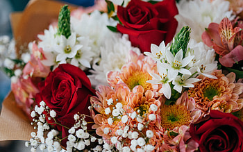 wedding bouquet, red roses, orange asters, beautiful bouquet, beautiful flowers, bridal bouquet HD wallpaper