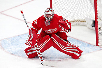 2019 NHL game, Jimmy Howard HD wallpaper