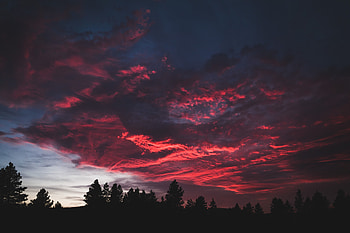 Colorful, clouds, sunset, dark, tree HD wallpaper