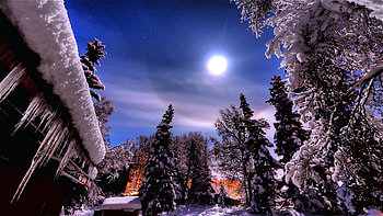 Bright is the Moon, winter, covered, glowing, icicles, beautiful, fresh, snow, fallen, trees HD wallpaper