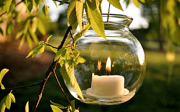 Nature, Leaves, Bank, Miscellanea, Miscellaneous, Branch, Greens, Jar, Candle HD wallpaper