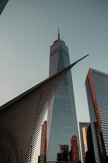 A stunning low angle view of One World Trade Center and the Oculus in New York City at dusk. HD phone wallpaper