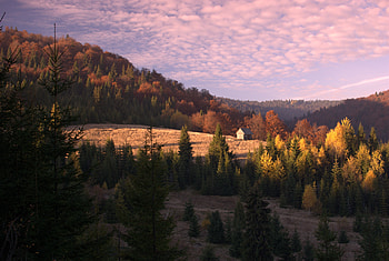 Nature, Trees, Sky, Clouds, Building, Forest, Hut HD wallpaper