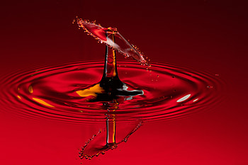 Macro, Splash, Liquid, Drop HD wallpaper