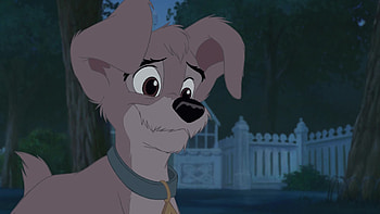 Lady and the Tramp II, Scamps adventure, Movie reviews, Simbasible HD wallpaper