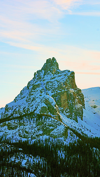 Nature, Trees, Snow, Rocks, Mountain, Vertex, Top, Snow Covered, Snowbound HD phone wallpaper