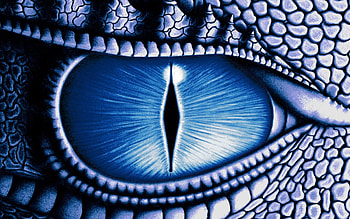Dragon Eye 938035 ... HD wallpaper