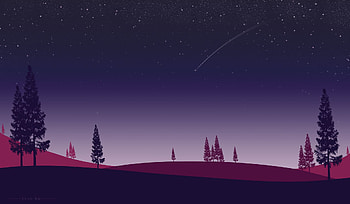 Art, Night, Vector, Spruce, Fir, Starfall HD wallpaper
