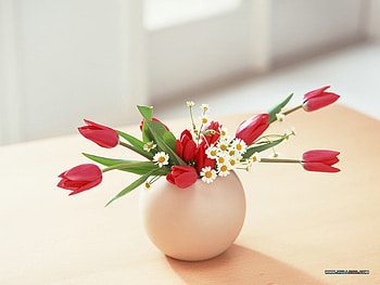 Flower Art 37, table, red, vase, , tulips, spring, fresh, daisies HD wallpaper