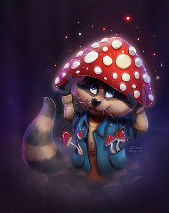 Art, Nice, Sweetheart, Mushroom, Raccoon, Fly Agaric HD phone wallpaper