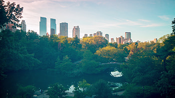 Central Park, New York City HD wallpaper