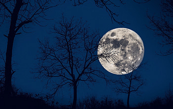 Full Moon, moon, nature, sky, blue HD wallpaper
